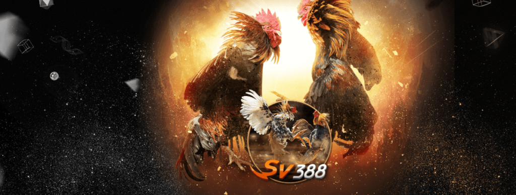 Cá cược trong sảnh đá gà 789Bet